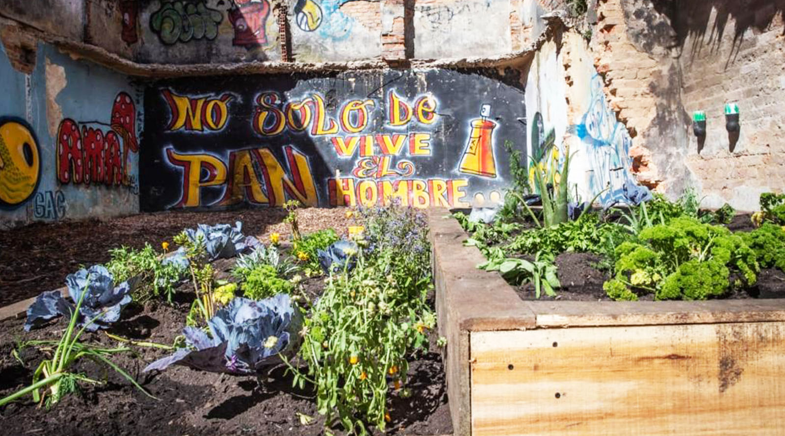 Bogotá empieza a transformar ‘ollas’ del microtráfico en huertas urbanas