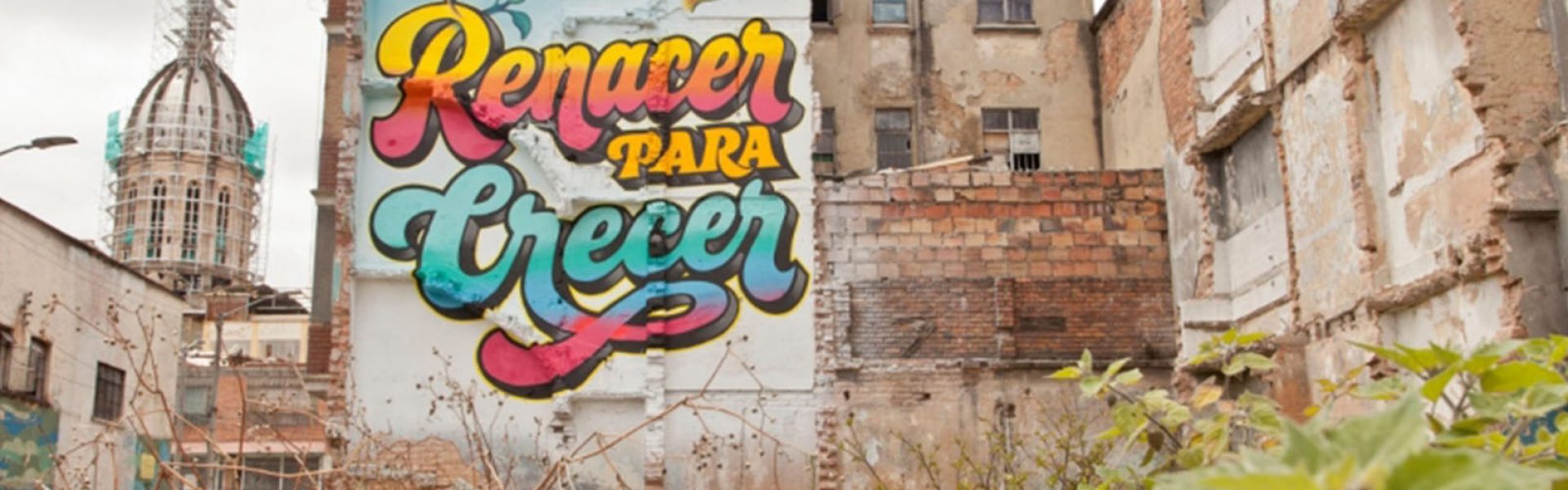 bronx_renacer_n