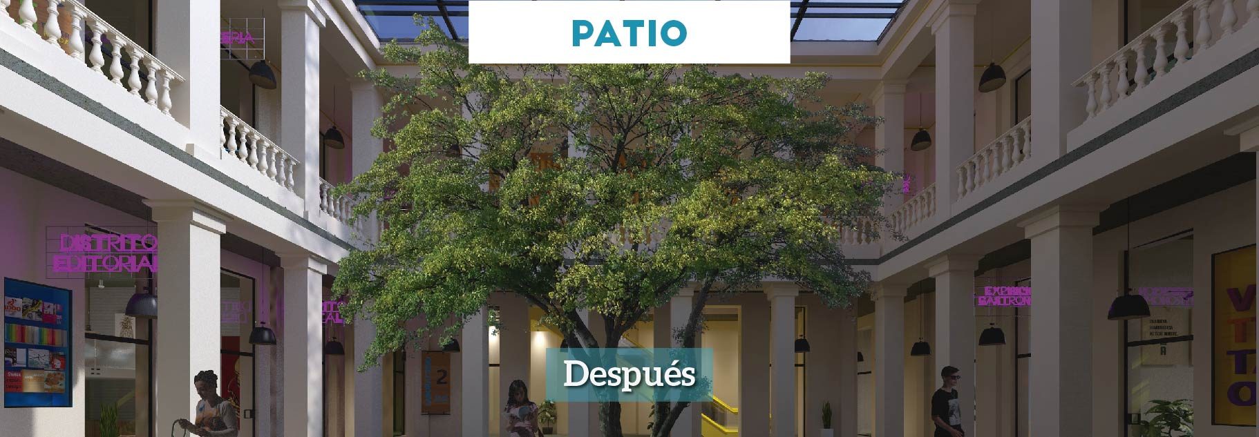facultad-04